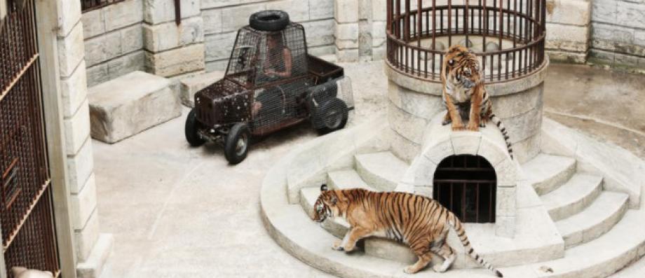 Photo of La productrice Alexia Laroche-Joubert annonce que les tigres vont disparaître de « Fort Boyard » sur France 2 … mais pas tout de suite!