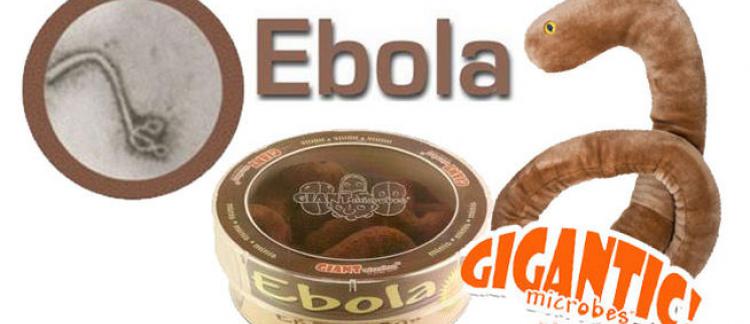 peluche ebola